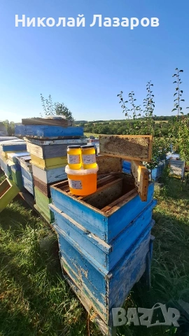 Пчелен мед Букет или Липа, снимка 4 - Пчелни продукти - 55215883