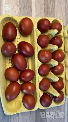 Разплодни яйца от Марани и Амераукани, снимка 2 - Кокошки и пуйки - 54715909