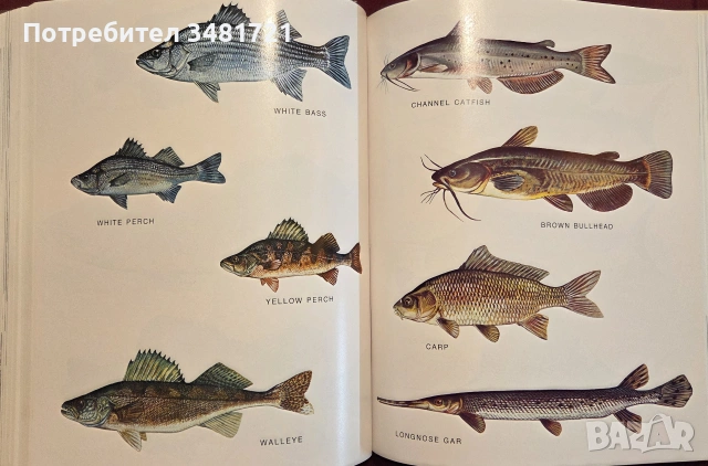 Complete Outdoors Encyclopedia, снимка 16 - Други - 55064821