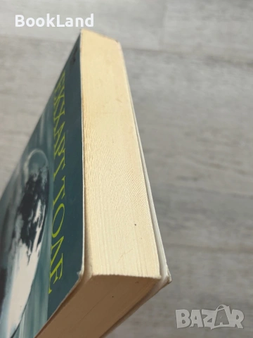 Нова земя| Екхарт Толе, снимка 4 - Други - 54778691