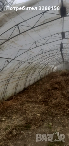 Оранжерия--ферми за оранжерия , снимка 2 - Оранжерии - 54080846