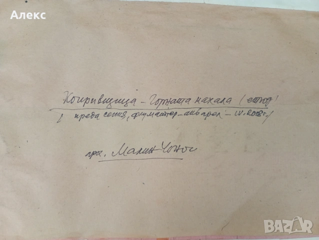 Акварел на Малин Чоноч!, снимка 4 - Картини - 55153740