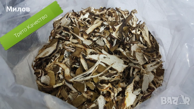 Гъби Сушени / Замразени Манатарка, Челадинка, Пачи крак, снимка 4 - Домашни продукти - 55276800