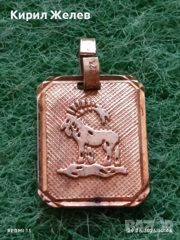 Сребърен медальон зодиакален знак КОЗИРОГ ♑ стил и елегантност 29552