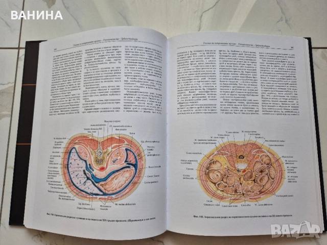 НОВИ! КОЛЕКЦИЯ " АТЛАС ПО АНАТОМИЯ НА ЧОВЕКА " Р.Д. СИНЕЛНИКОВ , снимка 8 - Здраве, медицина и спорт - 55137759