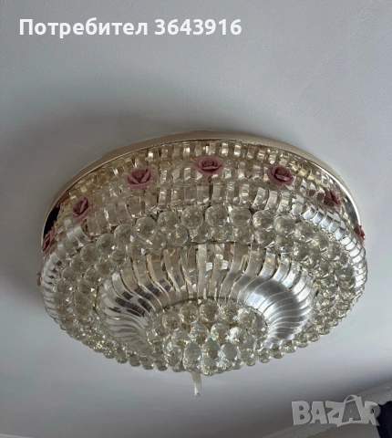 Полилей, снимка 2 - Полилеи - 54805193