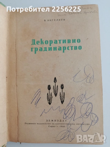 Декоративно градинарство 1956г, снимка 5 - Специализирана литература - 55151912