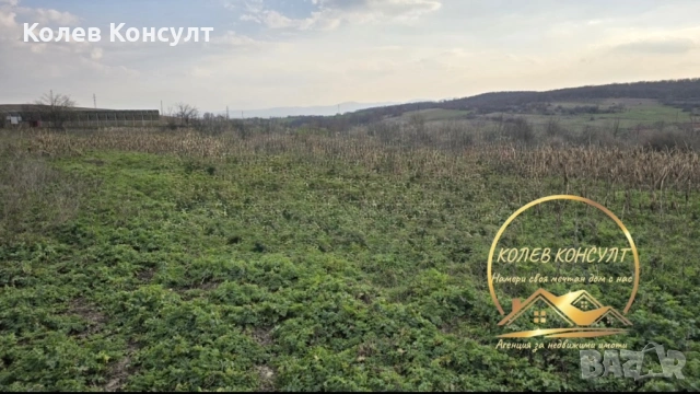 Парцел със стара къща село Георги Добрево, снимка 5 - Къщи - 54374894