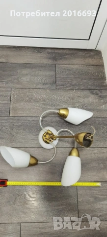 Полилеи, снимка 4 - Полилеи - 54249835