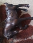 Бронзова фигурка на 🐎 кон 49429, снимка 8