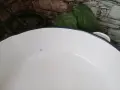 Голяма емайлирана тава с улей , снимка 5