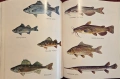 Complete Outdoors Encyclopedia, снимка 16