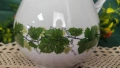 Разкош Burg Lindau porcelain за кафе, снимка 9