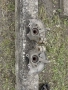 Шенкел главина за Голф 4, снимка 3