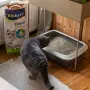 Премиум Слепваща Котешка Тоалетна, Пясък Biokat's Classic Fresh 3in1 10л (С аромат на пролет), снимка 3