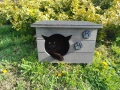 Къща за котки, Компакт, къщичка за коте, къщички за котета, колиби, снимка 9