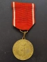 Рядък опълченски медал 1880 оригинална лента, снимка 1