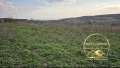 Парцел със стара къща село Георги Добрево, снимка 5