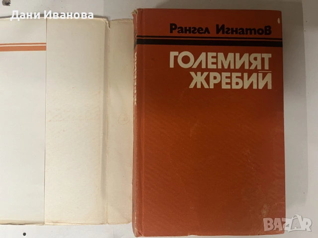 книга ГОЛЕМИЯТ ЖРЕБИЙ от Рангел Игнатов, снимка 3 - История, политика и общество - 55284776