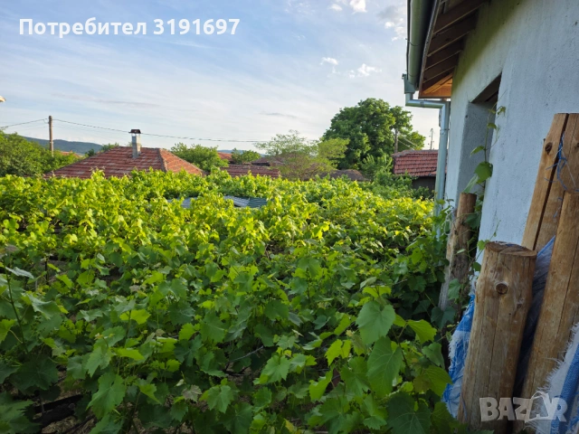 Продавам къща, снимка 4 - Къщи - 54685371