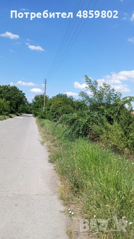 ЧАСТНО ЛИЦЕ: Парцел в регулация 3 дка с ток и вода, с. Трънково (лице на асфалт), снимка 3 - Парцели - 54947207
