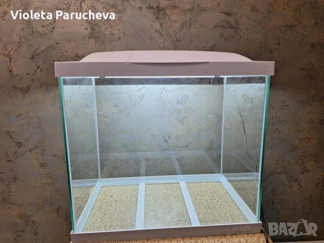 Аквариум за декоративни рибки