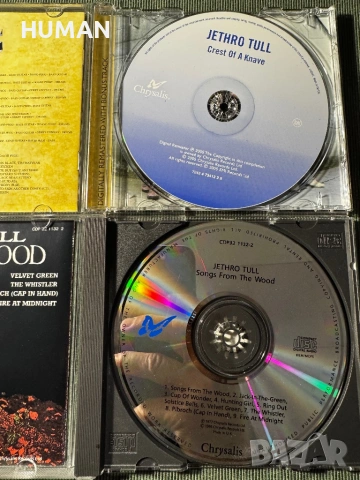 Jethro Tull - Ian Anderson, снимка 5 - CD дискове - 54543397