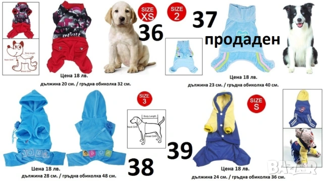 Якета гащеризони и дъждобран за дребни кучета, снимка 10 - За кучета - 54374181