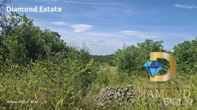 Две къщи в един двор в село Гълъбец, обл. Хасково, снимка 14 - Къщи - 54748854