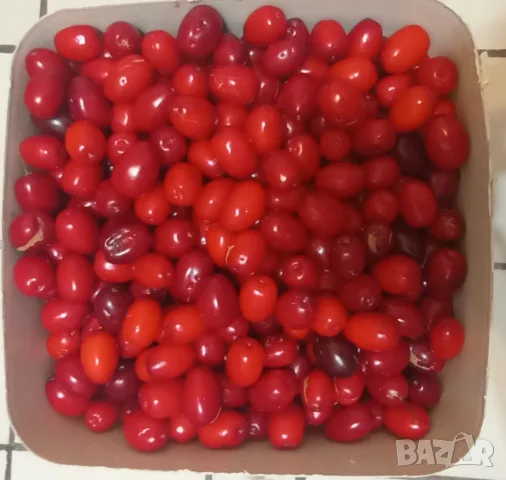 Едри, сладки и вкусни дренки