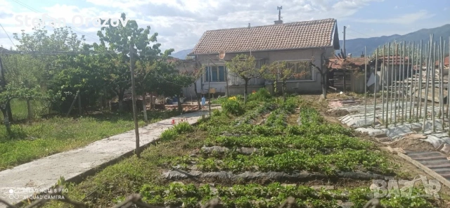 Продавам Бизнес Лешникова градина и къща в  с.Елхово(Милево), снимка 3 - Други - 54810831