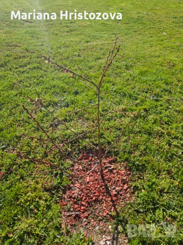 Продавам къща , снимка 11 - Къщи - 54025723