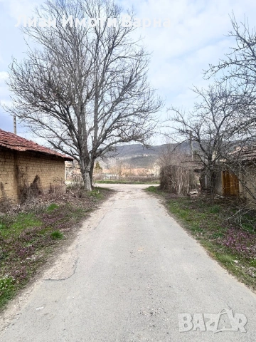 Къща с 3.8 дка двор в китното село Арковна, снимка 12 - Къщи - 54913622