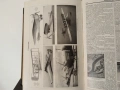 Немска Енциклопедия Meyers Kleines Lexikon. 1931г., снимка 9