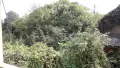 Къща в с. Александрово, снимка 8