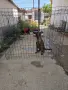 белгийска овчарка малиноа , снимка 1