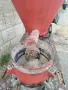 машина за гранули и пелети, снимка 5