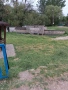 УПИ с. Драшан, снимка 2