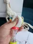 Продавам много запазени бебешки играчки Little Dutch, жирафа Софи, Стич, карти с визуални стимулации, снимка 6