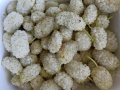 Черници, тиквени семки, лозови листа, липа цвят, снимка 6