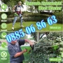 Акумулаторен тример с колела с 2 батерии 36V 10Ah + 28 ПОДАРЪКА, снимка 6