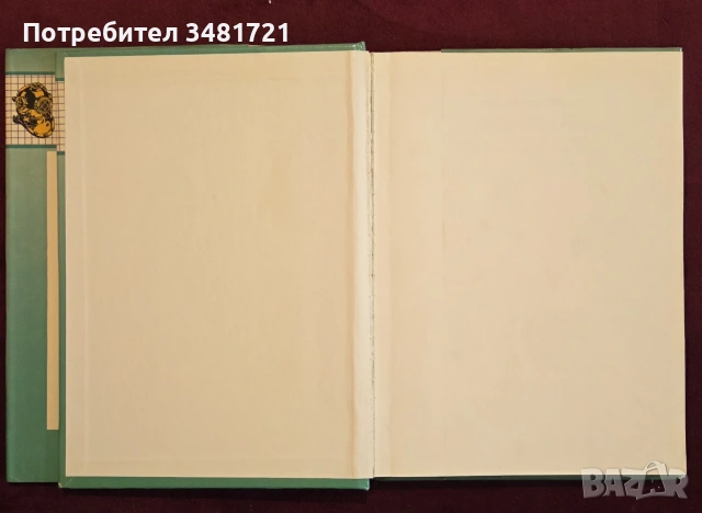 Илюстриран речник на парите и математиката / Bloomsbury Illustrated Dictionary of Money and Math, снимка 2 - Други - 55064706