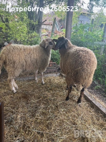 Продавам Мъжки шилета