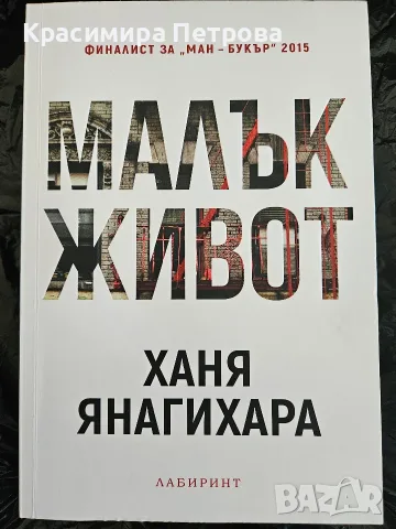 Малък живот - Ханя Янагихара