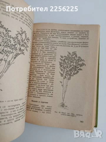 Растениевъдство 1960г, снимка 4 - Специализирана литература - 54881585