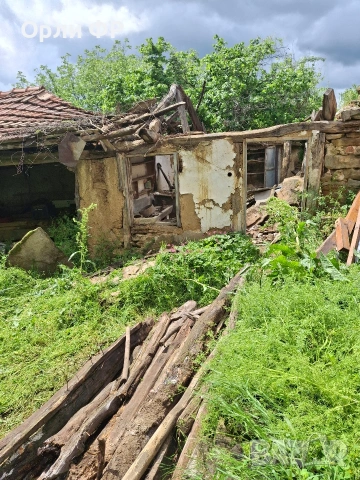 Чисти,извозва хамалкси услиги, снимка 15 - Хамалски услуги - 36629774