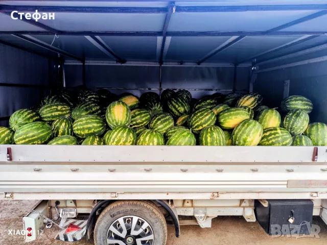 Продавам Дини и Пъпеши на Едро!, снимка 5 - Други - 55419106