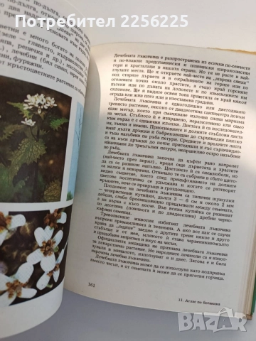 Атлас по ботаника, снимка 2 - Специализирана литература - 55179745