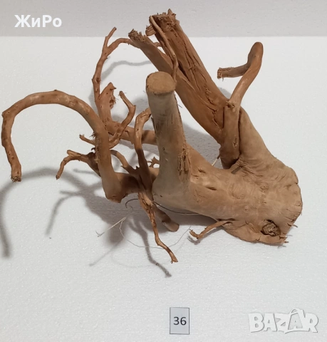 Корен от Азалия /декорация/ 36, снимка 4 - Други - 48966493