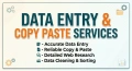 ​Въвеждане на данни, Copy-Paste услуги и Интернет проучвания, снимка 2
